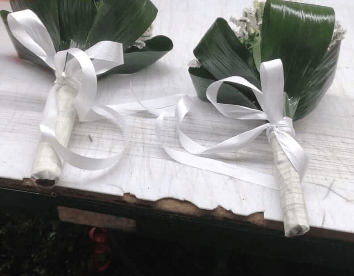 Piante Fiori Montagnola