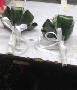 Piante Fiori Montagnola