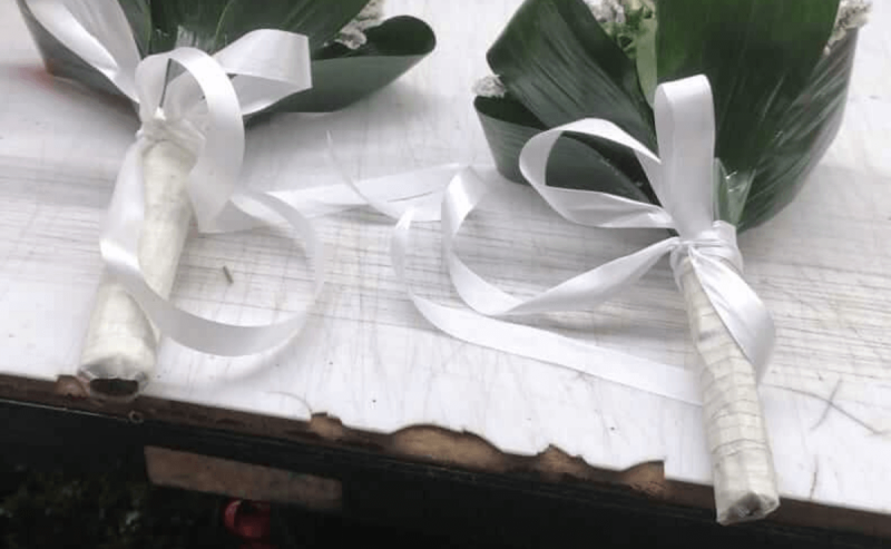 Piante Fiori Montagnola