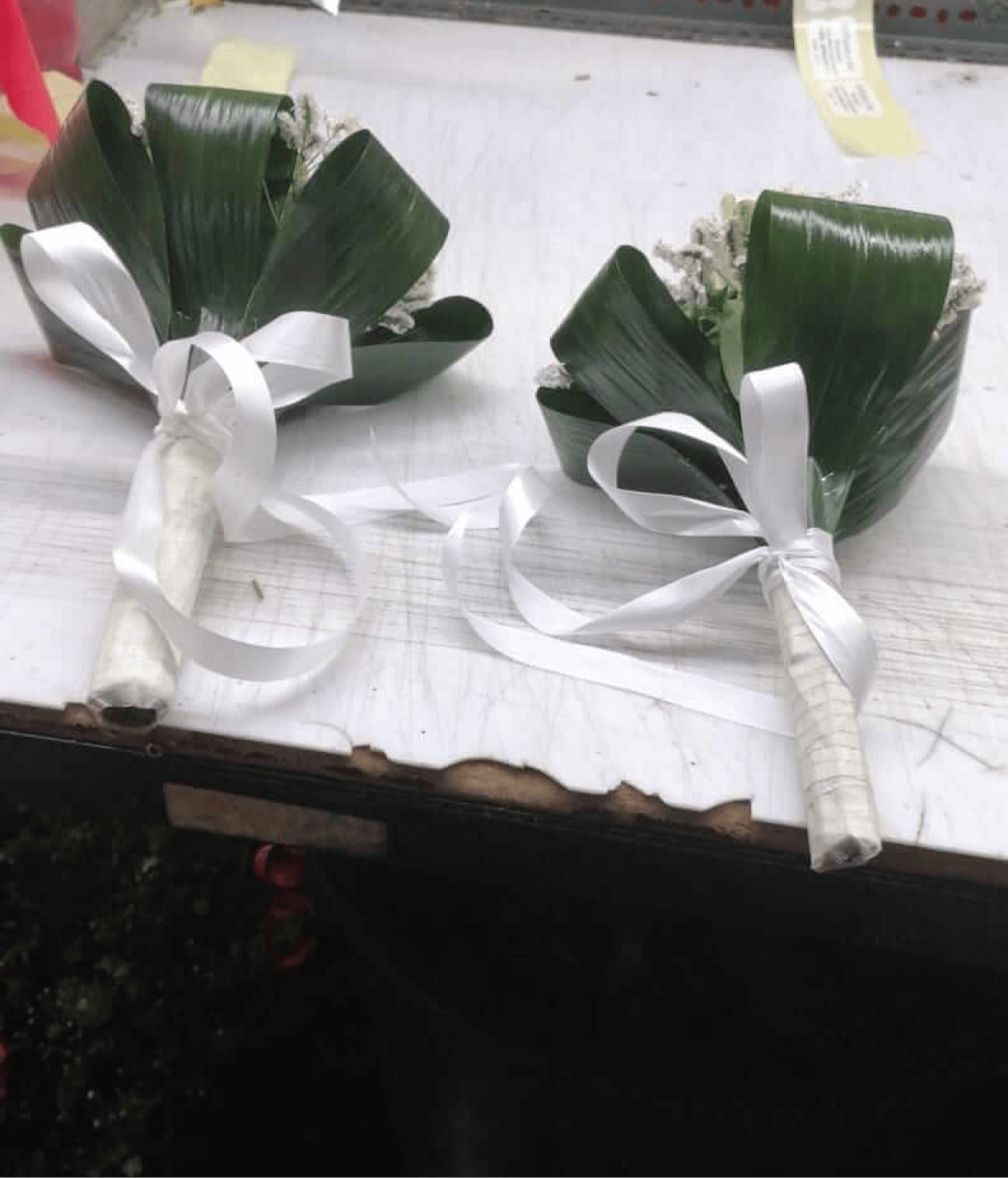 Piante Fiori Montagnola