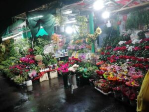Piante e fiori Largo Santi Martiri dell’Uganda Roma