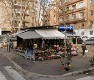 Piante e Fiori Via Macedonia