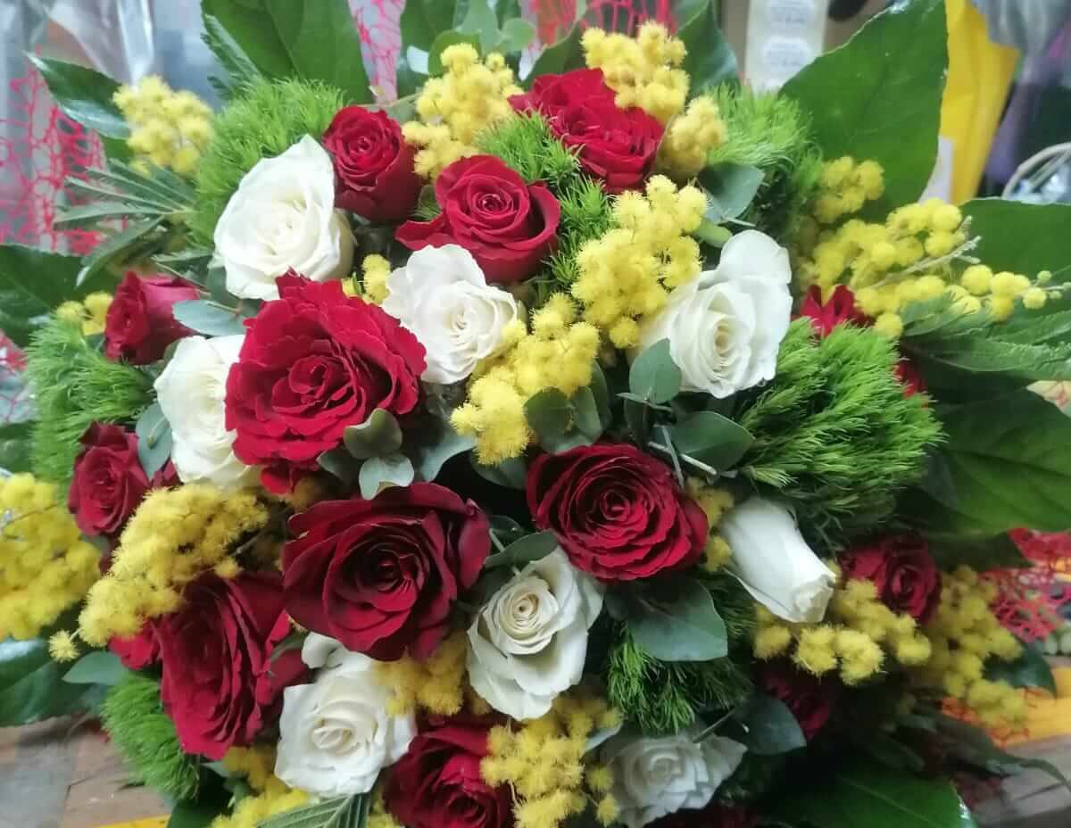 Piante e Fiori Roma