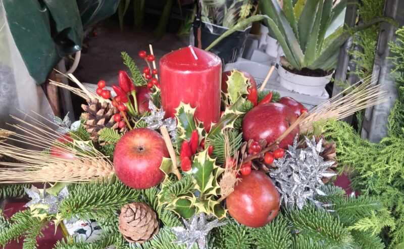 Per Natale esce un fiore